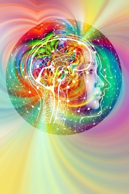 Your brain on healthy food